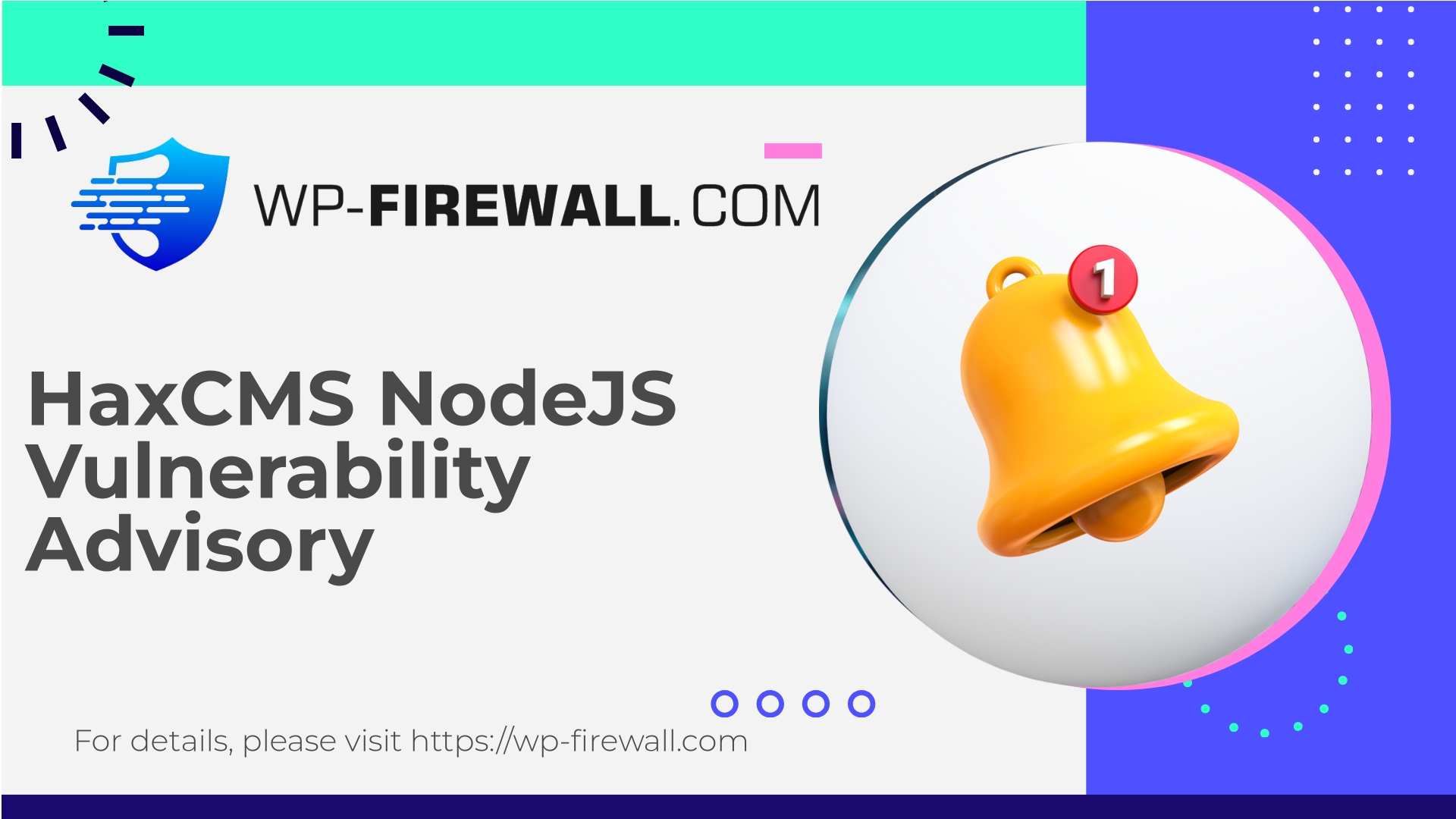 NPM HAX CMS DoS Advisory